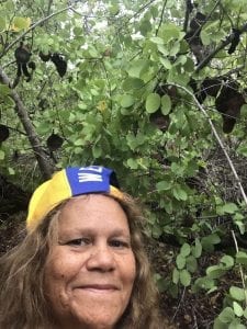 Mother-in-Law Tree