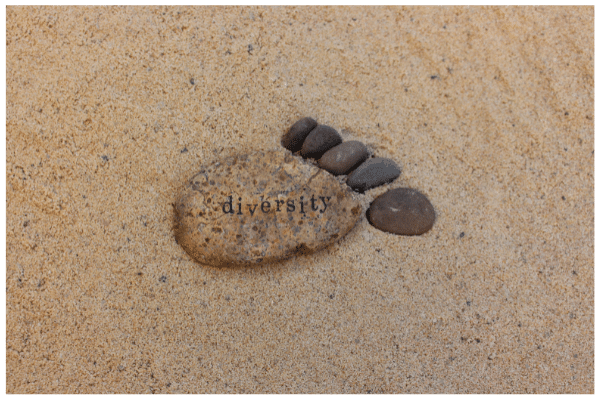 Reconciliation Resources - Diversity