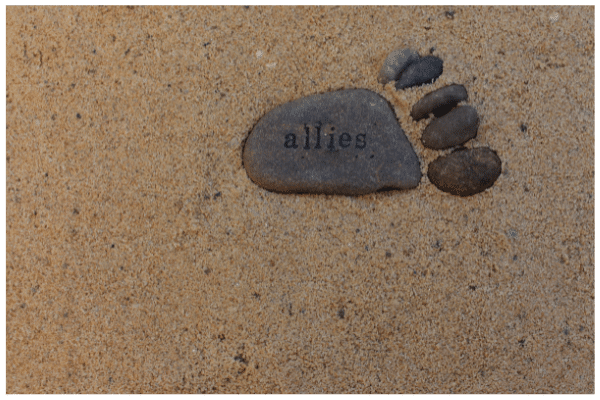 Reconciliation Resources - Allies
